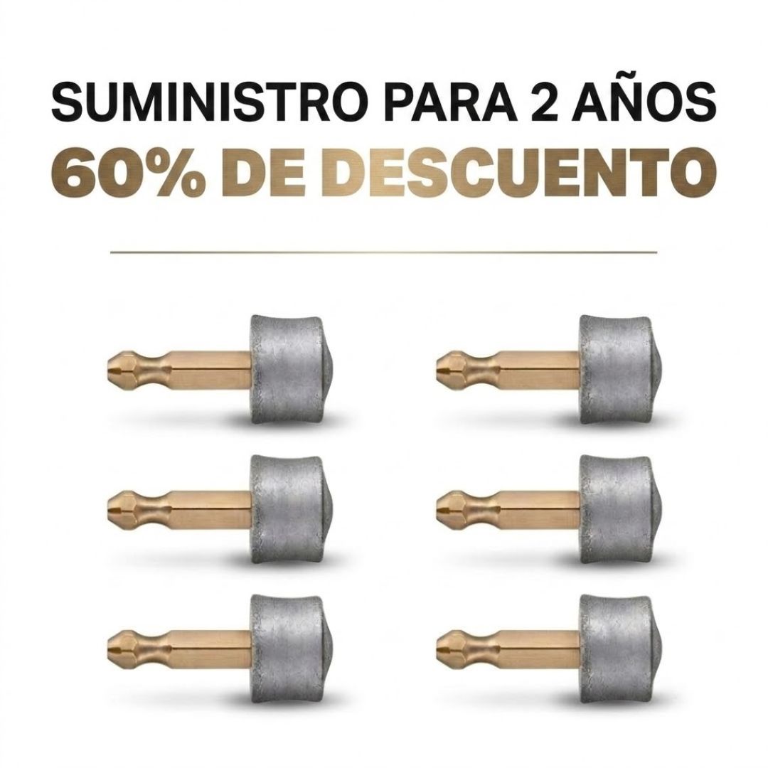 Paquete De Dos Años (6 Cabezales De Limado)