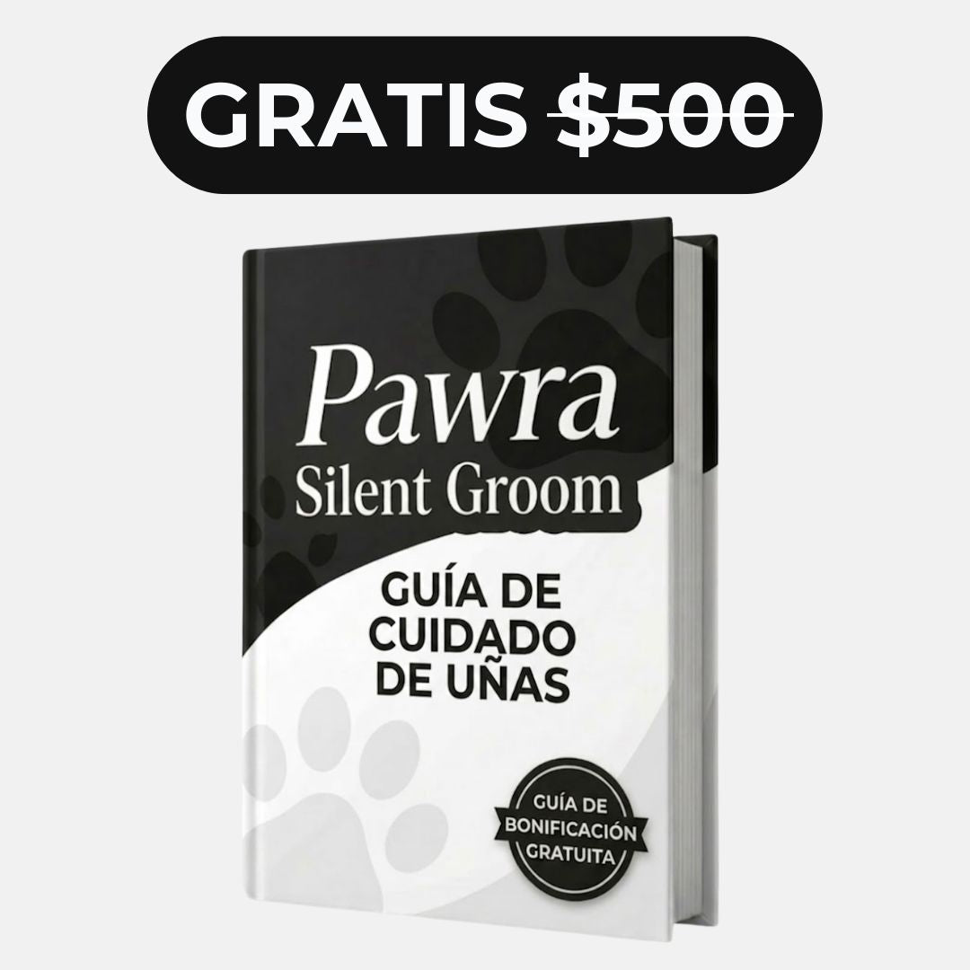 Guía De Cuidado De Uñas