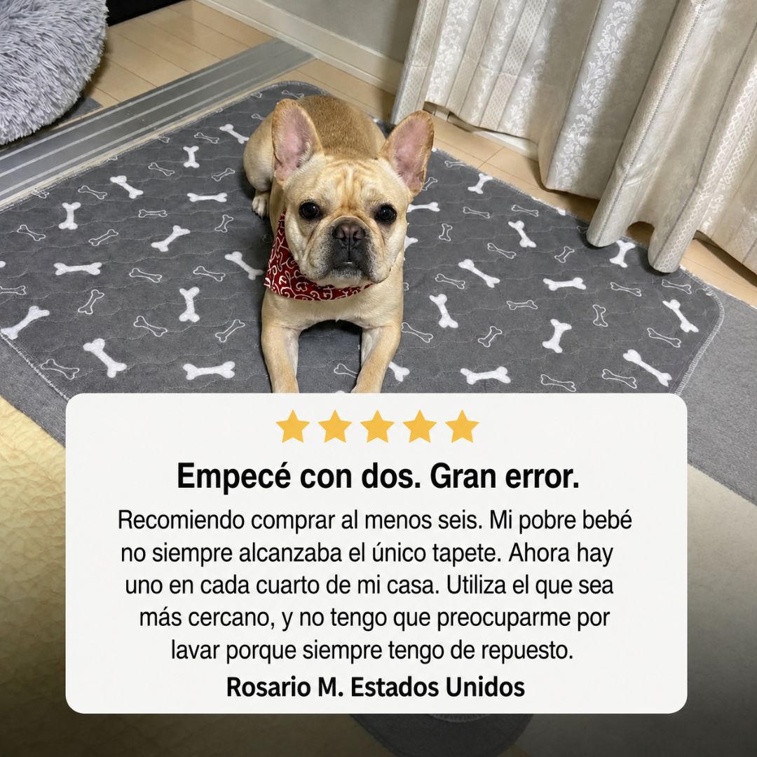 Pawra - El Tapete Que Tu Perro Entiende Por Instinto