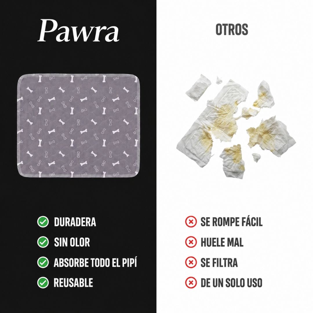 Pawra - El Tapete Que Tu Perro Entiende Por Instinto