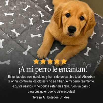 Pawra - El Tapete Que Tu Perro Entiende Por Instinto